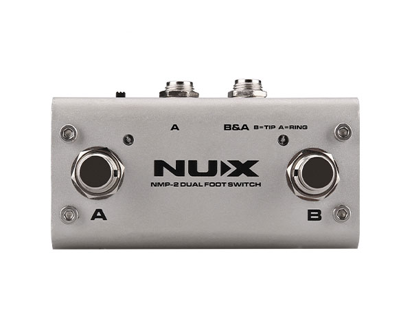 NMP-2 Dual Foot-switch