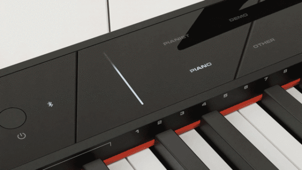 NPK-200 Portable Digital Piano